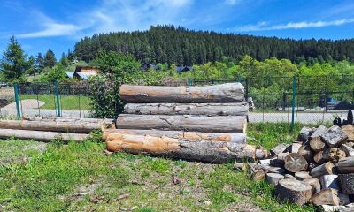 12,03 mc lemn rotund de rășinoase din specia brad și lemn de lucru pentru gatere