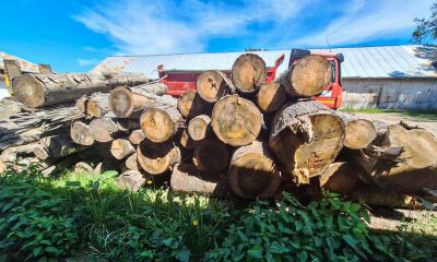 13,98 mc lemn rotund rășinoase