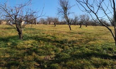 TEREN situat în extravilanul municipiului Oradea, județul Bihor – cotă de 96475/385900, a doua licitatie