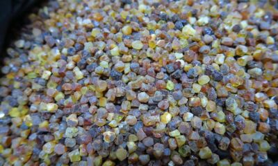 LOT nr. 31 – 20 kg de chihlimbar neprelucrat de diferite mărimi si culori.