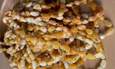 NEADJUDECAT/LOT 22.3 – 1 kg chihlimbar prelucrat de diferite mărimi si culori.