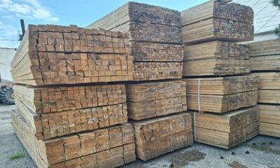 56,699 mc cherestea esență rășinoase