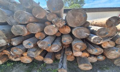 Lemn rotund, aproximativ 27,80 mc