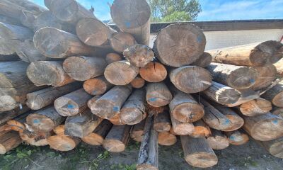 Lemn rotund aproximativ 27,80 mc, a treia licitație