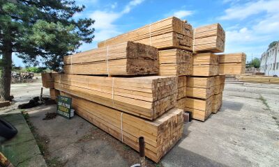 56,699 mc cherestea, esență rășinoase, a doua licitație