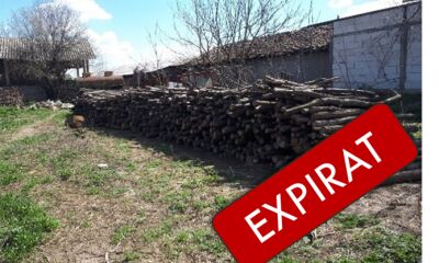 Material lemnos a doua licitație