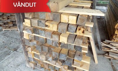 Material Lemnos Lot 4: 5,41 m3 cherestea esență rășinoasă, molid, căpriori 3,11 m3 (a III-a licitatie)