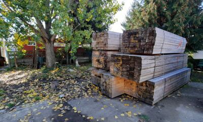 Lemn - Specia rășinoase