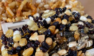 LOT 22.6 – 0,5 kg chihlimbar prelucrat de diferite mărimi si culori, a doua licitație