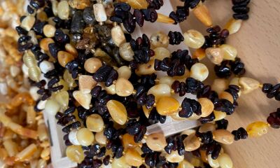 LOT 22.2 – 1 kg chihlimbar prelucrat de diferite mărimi si culori, a doua licitație