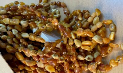 LOT 22.1 – 1 kg chihlimbar prelucrat de diferite mărimi si culori, a doua licitație