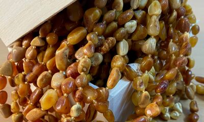 NEADJUDECAT/LOT 22.10 – 0,5 kg chihlimbar prelucrat de diferite mărimi si culori.