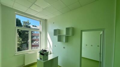 Gallery Thumb 1