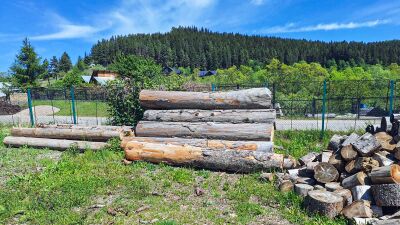 12,03 mc lemn rotund de rășinoase din specia brad și lemn de lucru pentru gatere