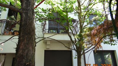 Gallery Thumb 1