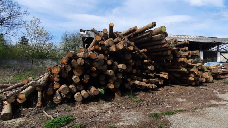 Material lemnos specia rășinoase sortiment lemn rotund - 100,3 mc