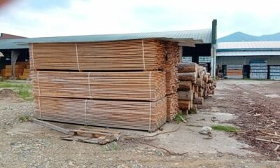 13,53 metri cubi cherestea tivită specia molid