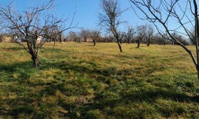 TEREN situat în extravilanul municipiului Oradea, județul Bihor – cotă de 96475/385900, a treia licitatie