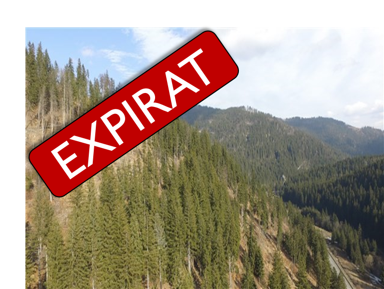 Masă lemnoasă 69 de arbori  (volum 61 mc)