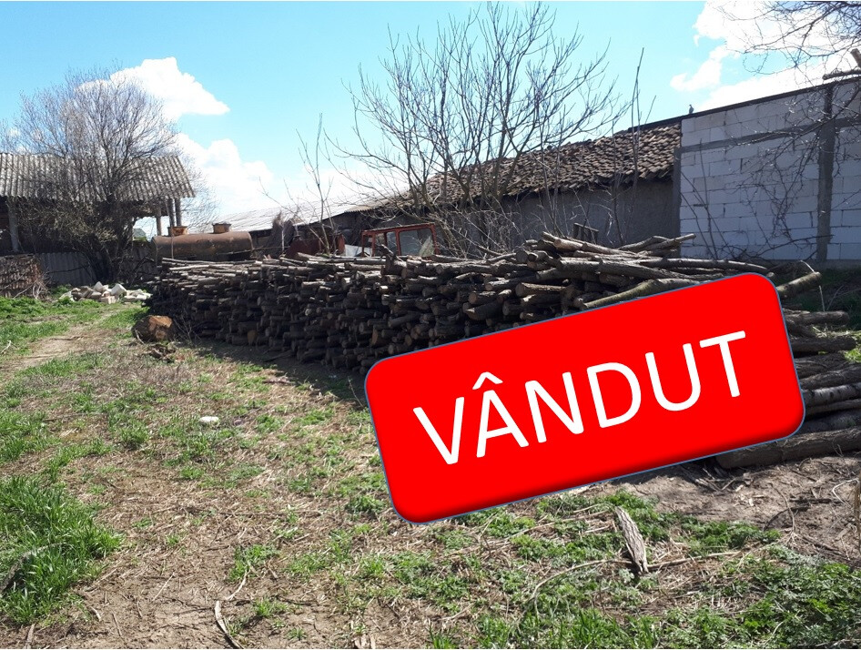 Material lemnos a treia licitație