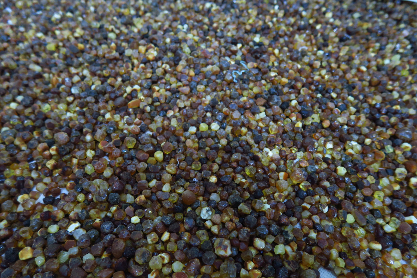 NEADJUDECAT - LOT 11 – 20 kg chihlimbar neprelucrat de diferite mărimi si culori