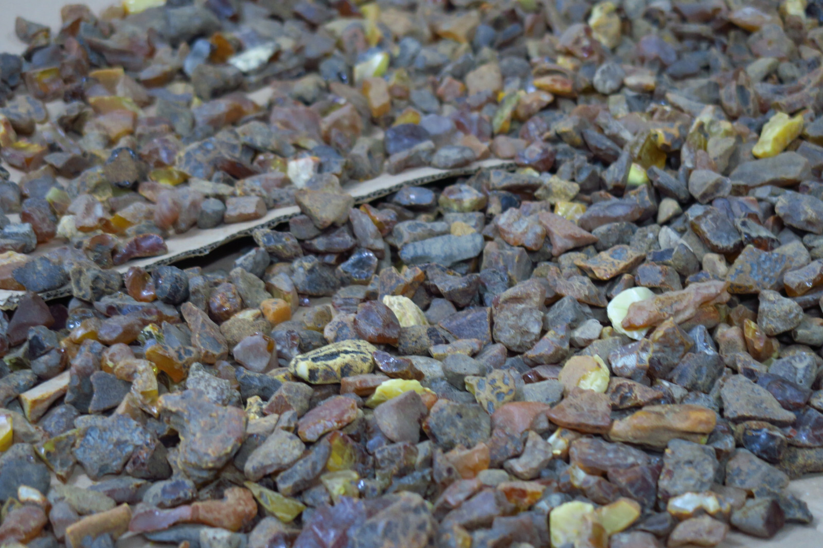 NEADJUDECAT - LOT 14 – 15 kg  - chihlimbar neprelucrat de diferite mărimi si culori