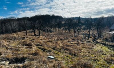 Imobil compus din teren și construcții situat în loc. Serani, județul Bihor