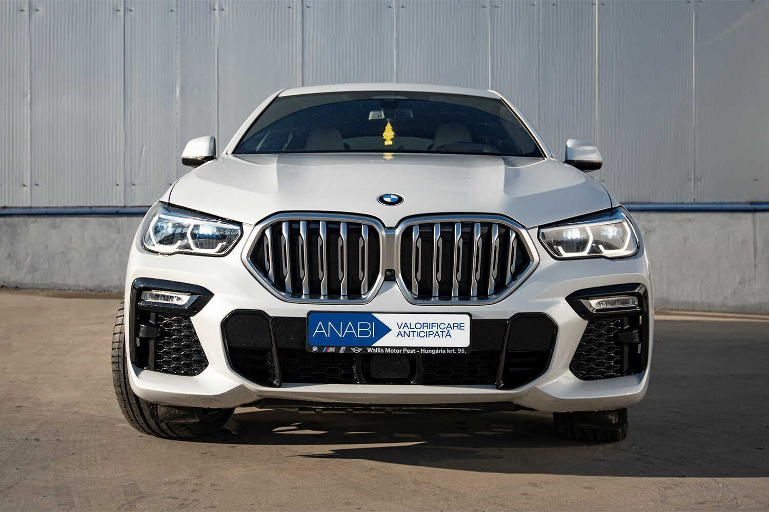 Autoturism BMW X6 XDRIVE 30D, an 2020