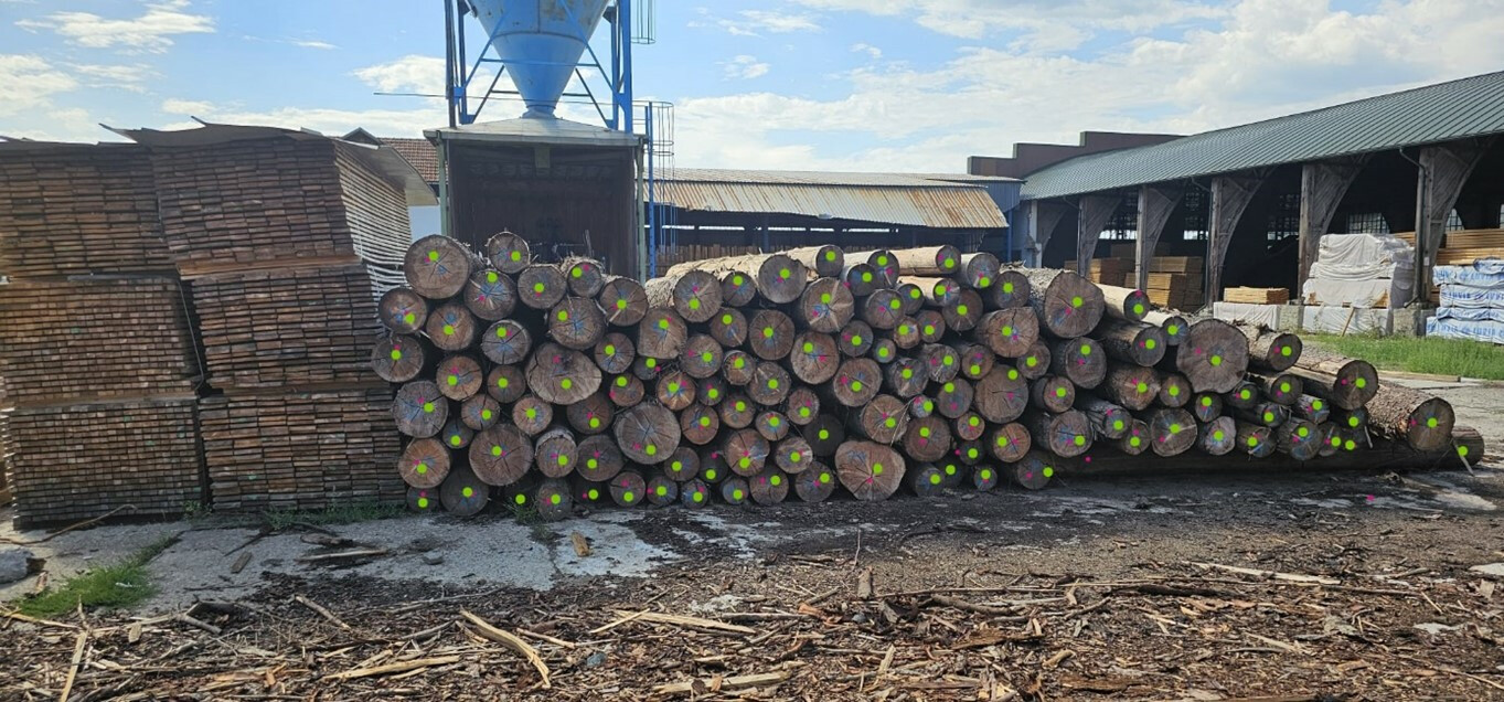 33,65 metri cubi lemn rotund rășinoase  (bușteni specia molid)