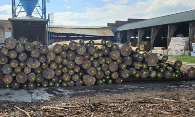 33,65 metri cubi lemn rotund rășinoase (bușteni specia molid)