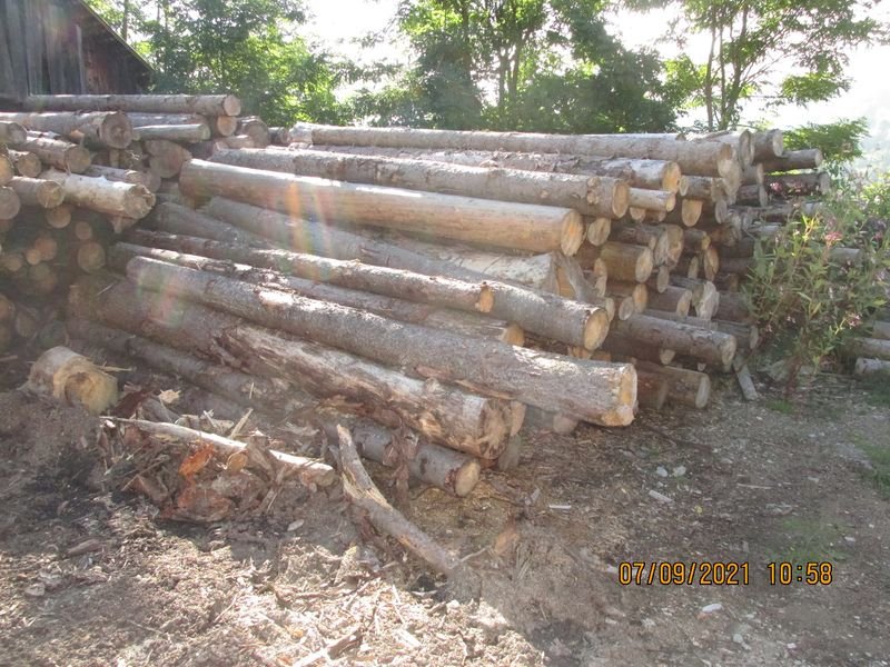 ADJUDECAT 142,27 metri cubi de material lemnos