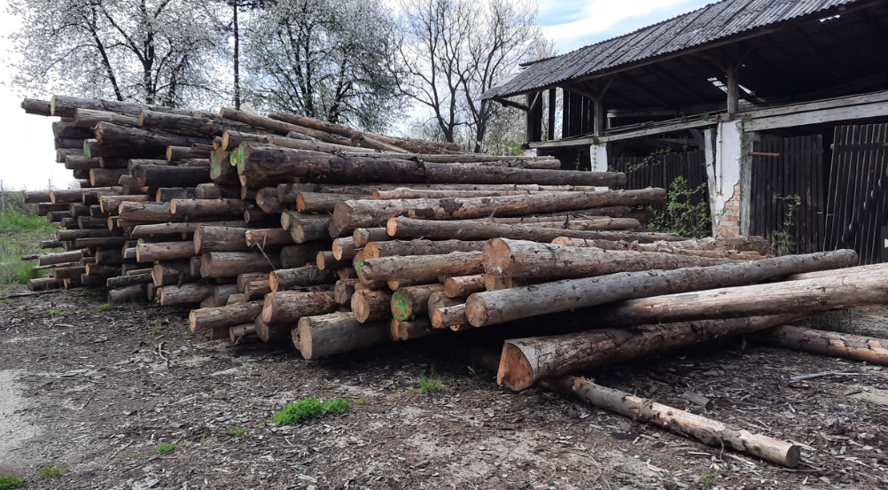 NEADJUDECAT Material lemnos specia rășinoase sortiment lemn rotund - 100,3 mc