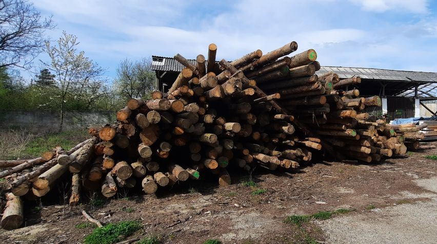 NEADJUDECAT Material lemnos specia rășinoase sortiment lemn rotund - 100,3 mc, a treia licitatie