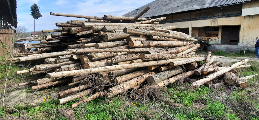 NEADJUDECAT Material lemnos specia rășinoase sortiment lemn rotund - 100,3 mc, a treia licitatie