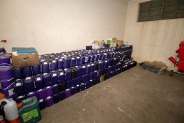 Fertilizatori pentru flori