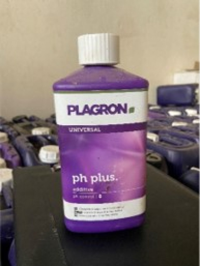 Fertilizatori pentru flori