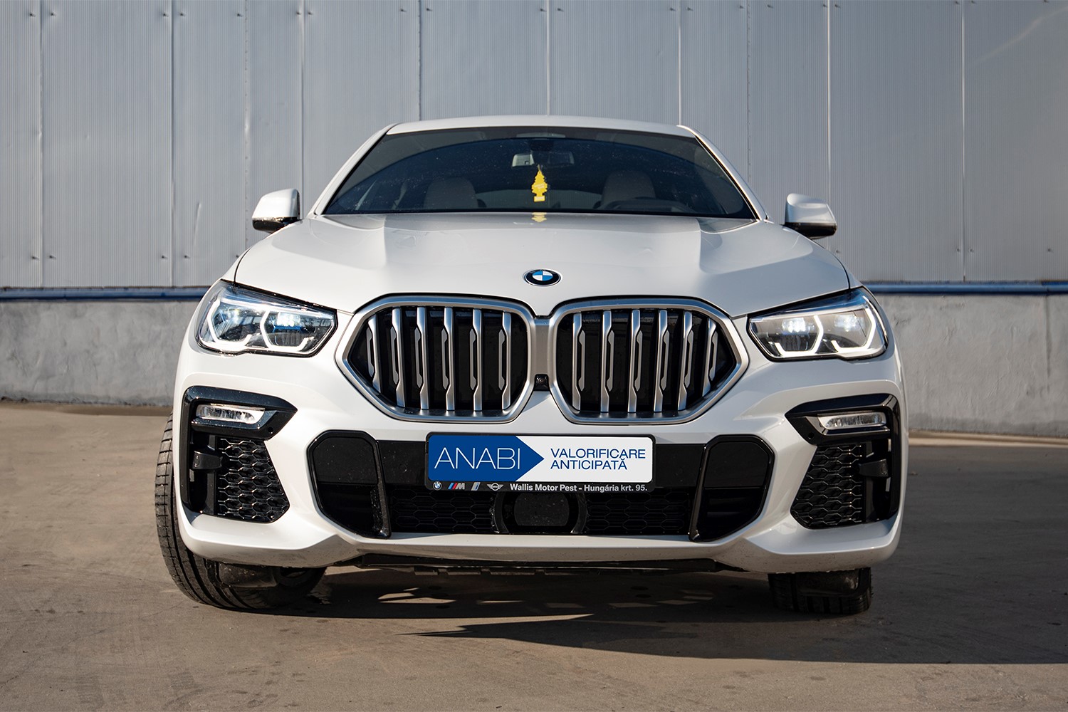 ADJUDECAT Autoturism BMW X6 XDRIVE 30D, an 2020