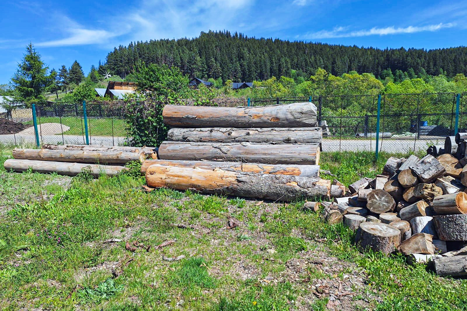 12,03 mc lemn rotund de rășinoase din specia brad și lemn de lucru pentru gatere